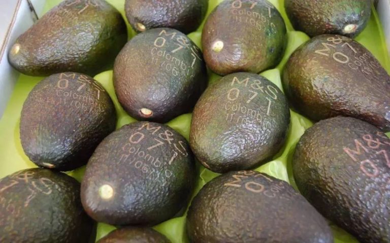 Innovative Application of Laser Marking Machines in Fruit Marking