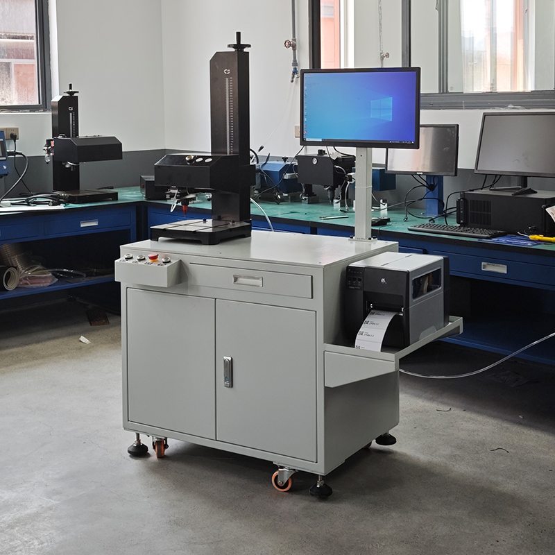 Automatic Dot Peen Marking TTO Inkjet Label Printing Machine