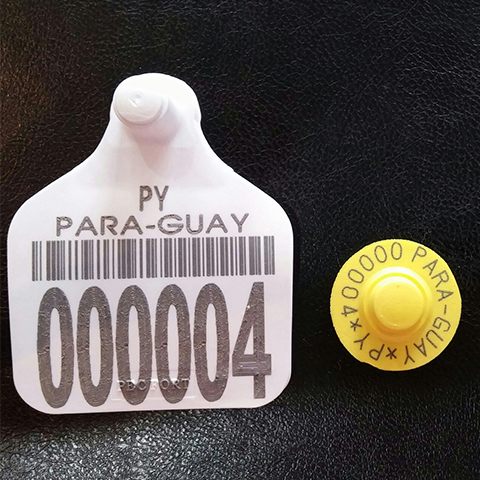 Laser marking sample on ear tag